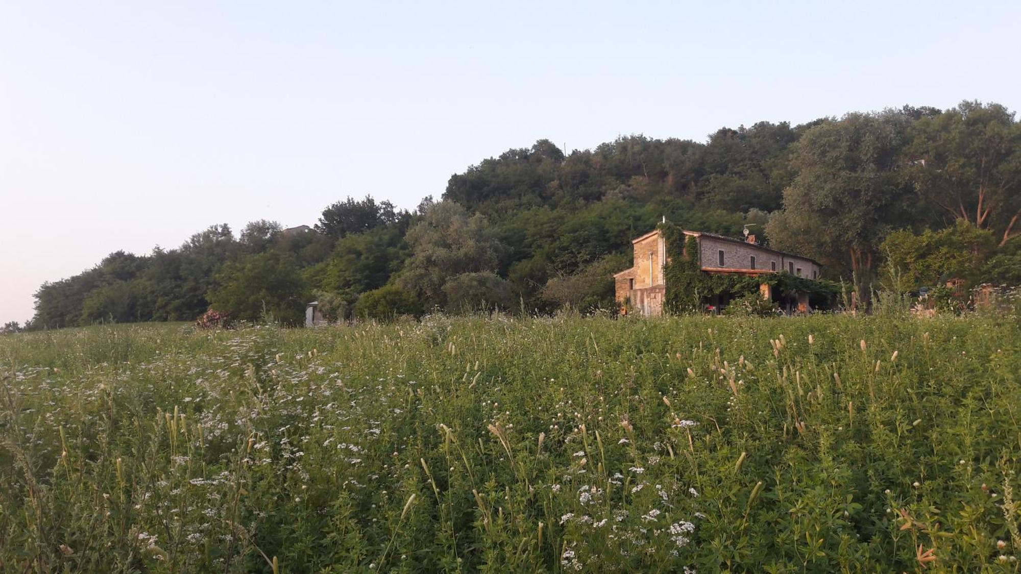 Bed and Breakfast Le Bumbarelle Tavoleto Exterior foto
