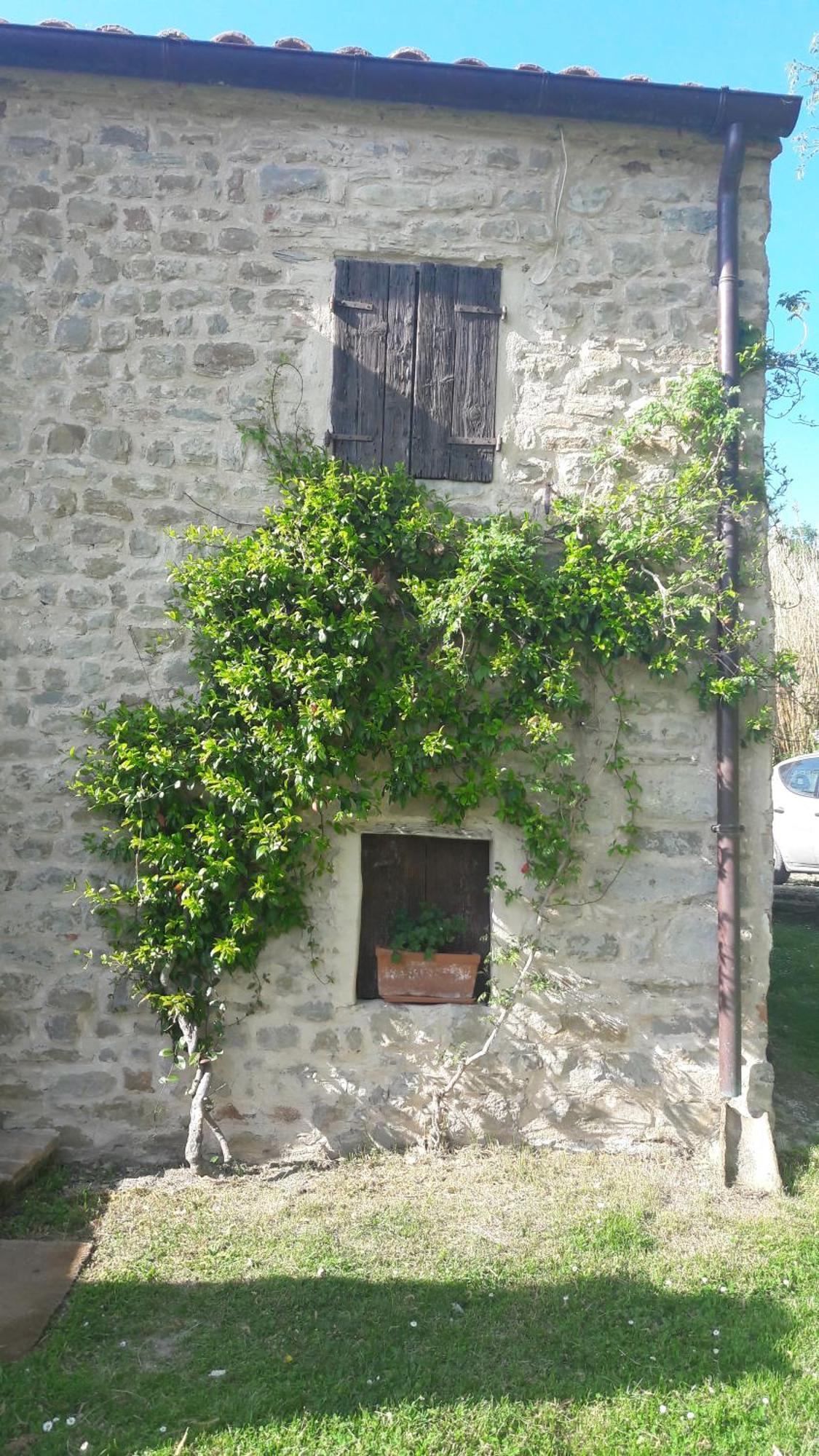 Bed and Breakfast Le Bumbarelle Tavoleto Exterior foto