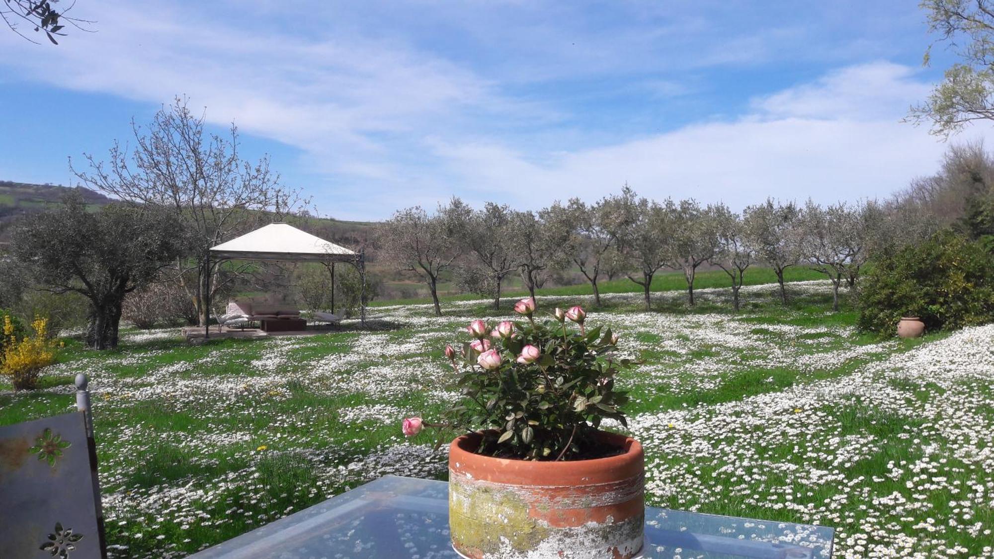 Bed and Breakfast Le Bumbarelle Tavoleto Exterior foto