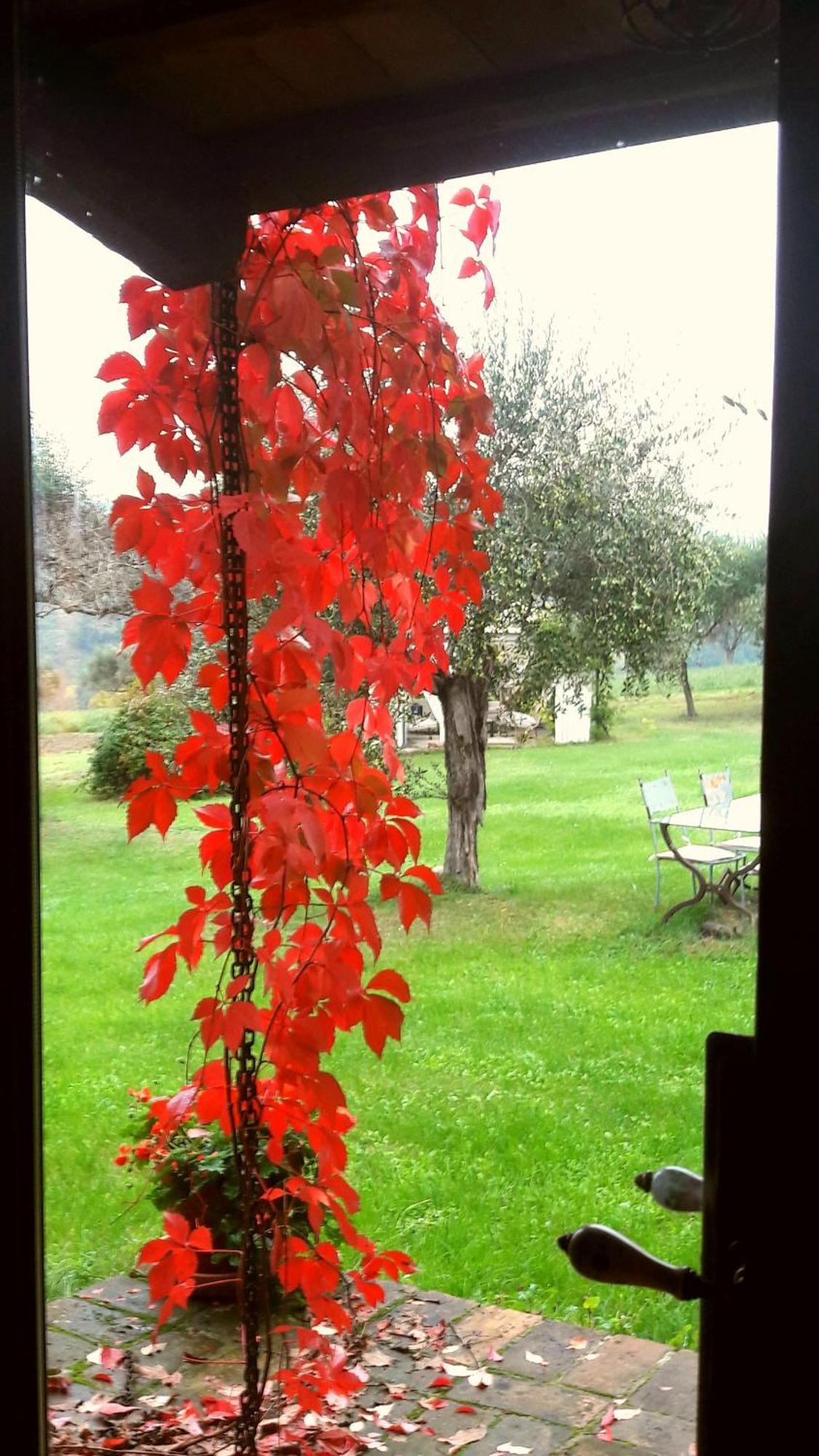 Bed and Breakfast Le Bumbarelle Tavoleto Exterior foto