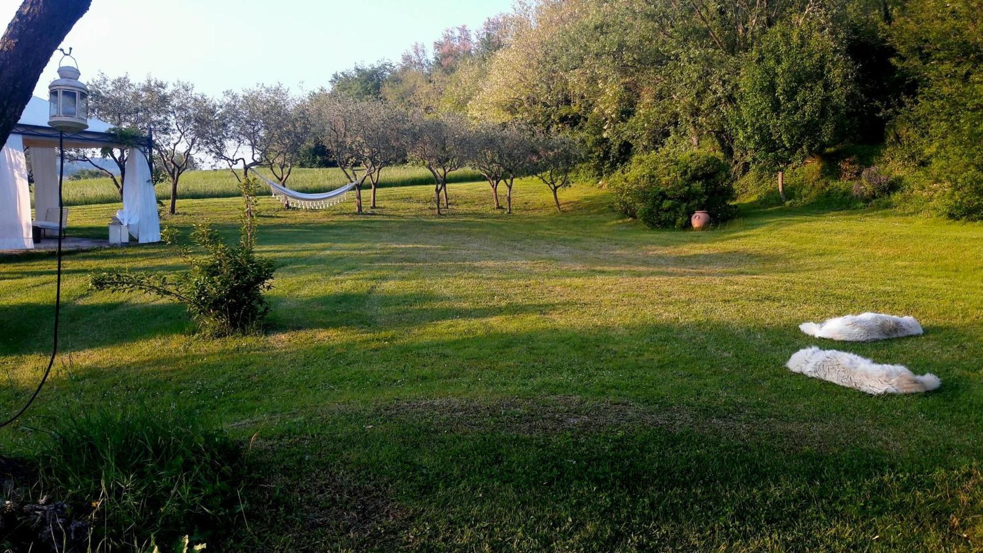 Bed and Breakfast Le Bumbarelle Tavoleto Exterior foto