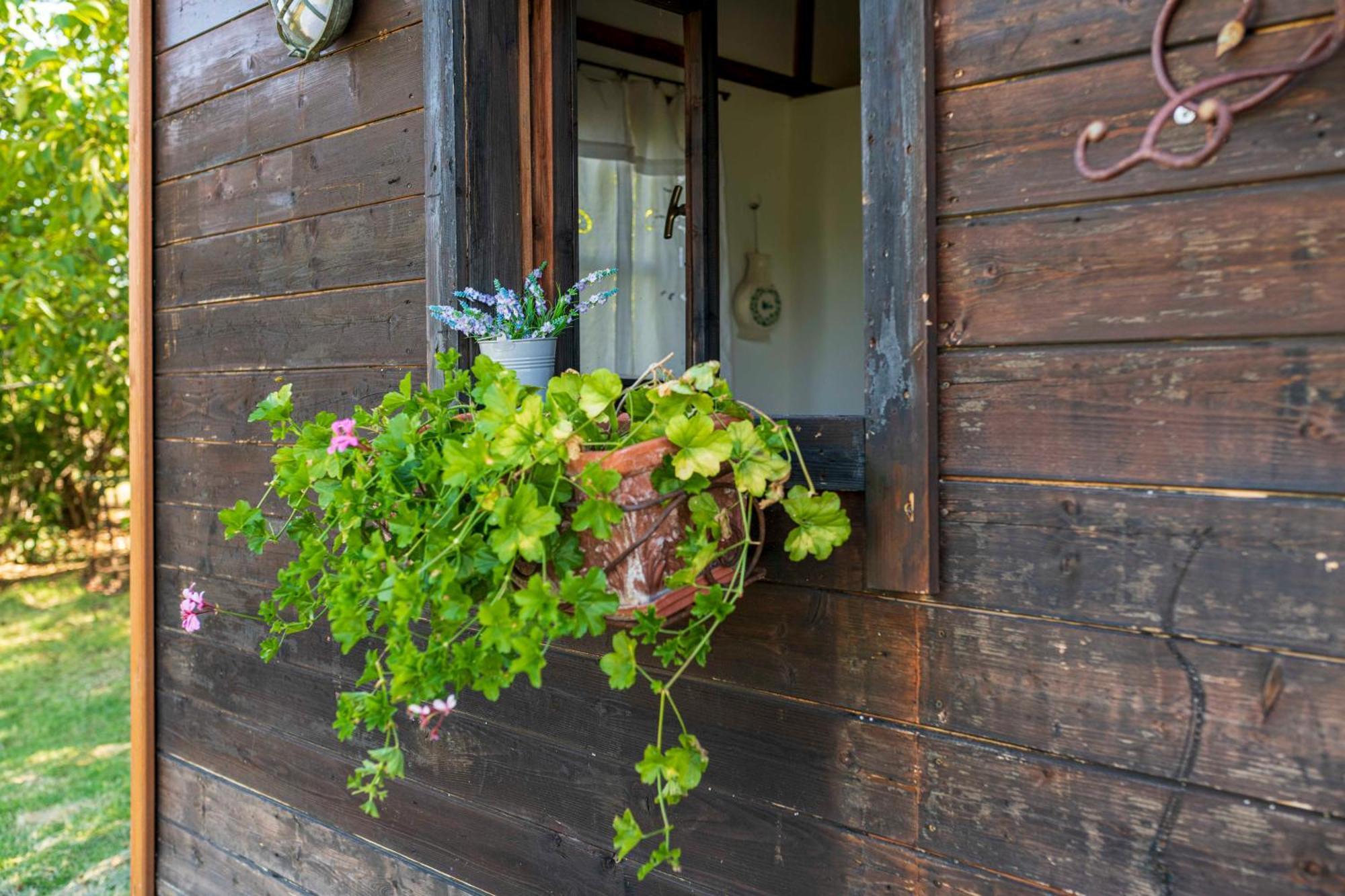 Bed and Breakfast Le Bumbarelle Tavoleto Exterior foto