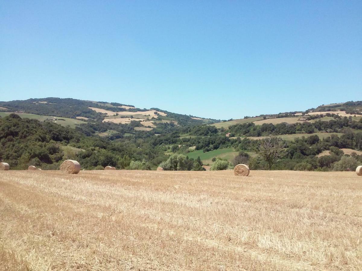 Bed and Breakfast Le Bumbarelle Tavoleto Exterior foto