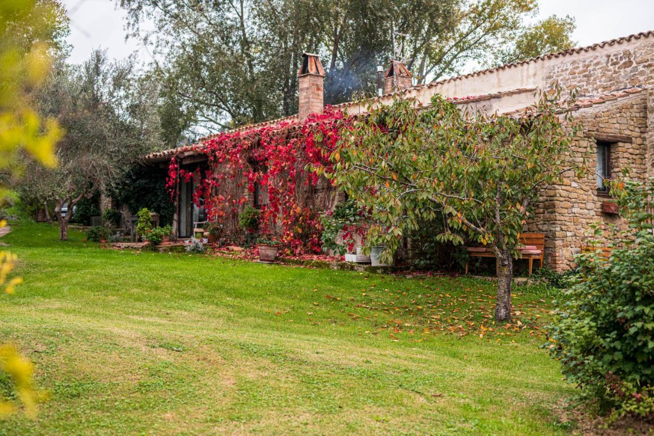 Bed and Breakfast Le Bumbarelle Tavoleto Exterior foto