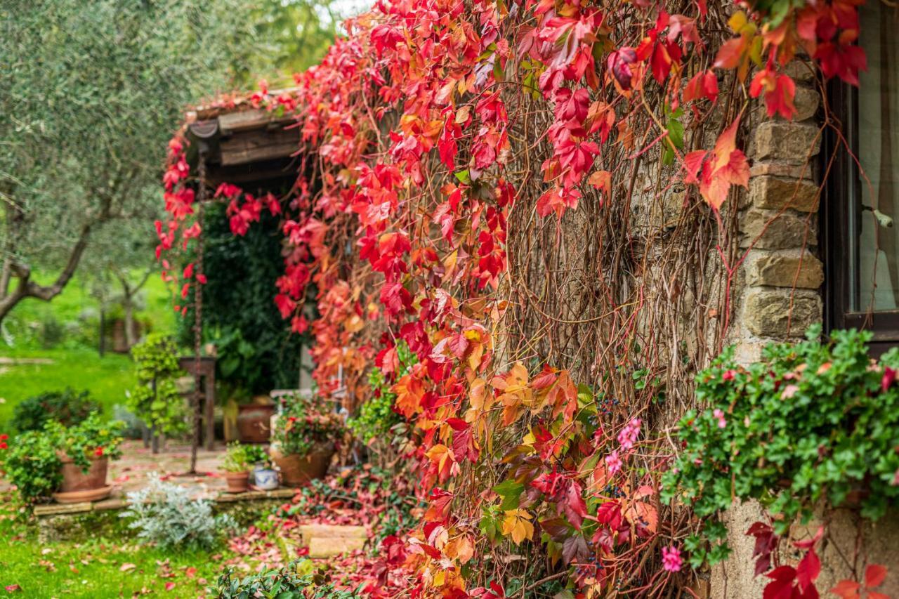 Bed and Breakfast Le Bumbarelle Tavoleto Exterior foto